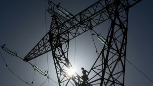 France: risque "&eacute;lev&eacute;" de tensions sur le r&eacute;seau &eacute;lectrique en janvier