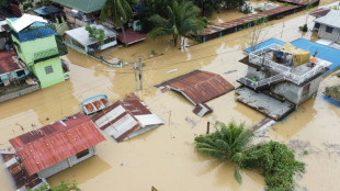 'Dangerous new era': climate change spurs disaster in 2024