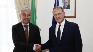 Martusciello (Fi),"se Cirielli è pronto,noi pronti a sostenerlo"