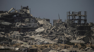 Parigi, 'piano su Gaza peggiora una situazione già catastrofica'