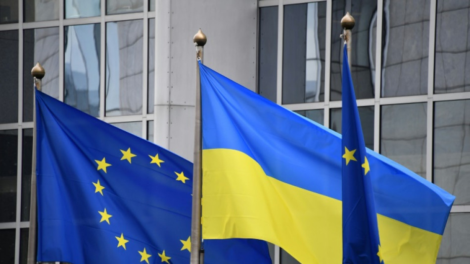 EU leitet Pr&uuml;fung von ukrainischem Beitrittsantrag ein