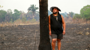 Deforestation in Brazil Amazon hits nearly four-decade low