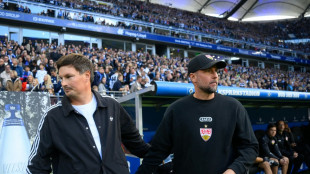 Hamburg setzt Siegesserie fort