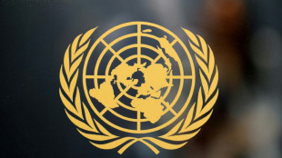 Futur chef de l'ONU: pour les quatre candidats, priorit&eacute; &agrave; la paix