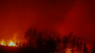 Janvier 2026 dans le top 5 des mois de janvier les plus chauds malgr&eacute; une vague de froid, selon Copernicus