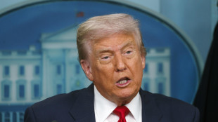 Trump, a Putin dirò di mettere fine alla guerra