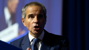 EEUU impide al jefe nuclear de Ir&aacute;n asistir a una reuni&oacute;n en Viena