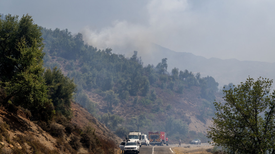 Incendi boschivi, 51900 interventi vigili fuoco da metà giugno