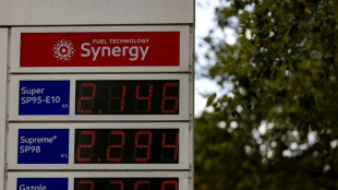 Salaires, carburants, mobilisations... le pouvoir d'achat s'impose dans la campagne