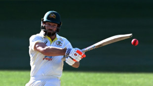 Ton-up Neser helps Glamorgan to record total of 737