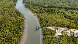 Bangladesh: des pirates ran&ccedil;onnent ceux qui s'aventurent dans la mangrove