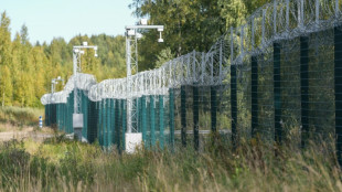 Finnland errichtet 200 Kilometer langen Zaun an Grenze zu Russland