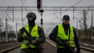 La Pologne renforce la sécurité de ses chemins de fer après des tentatives de sabotage 