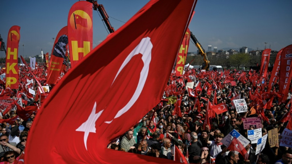 Turqu&iacute;a confirma la detenci&oacute;n de un periodista sueco acusado de "terrorismo"