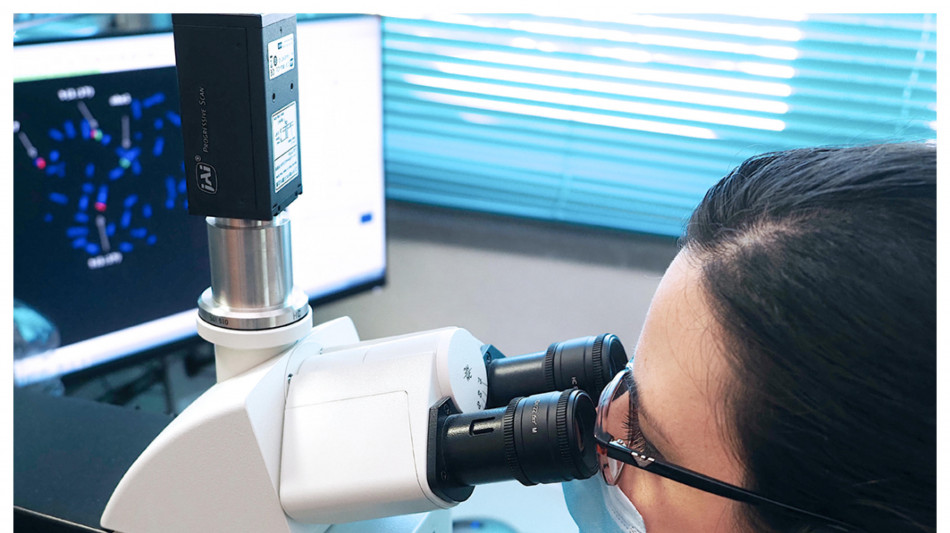 Nanofili trasparenti per studiare le cellule a stella del cervello in modo realistico