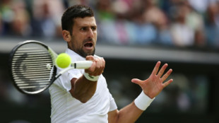 Djokovic into 14th Wimbledon quarter-final