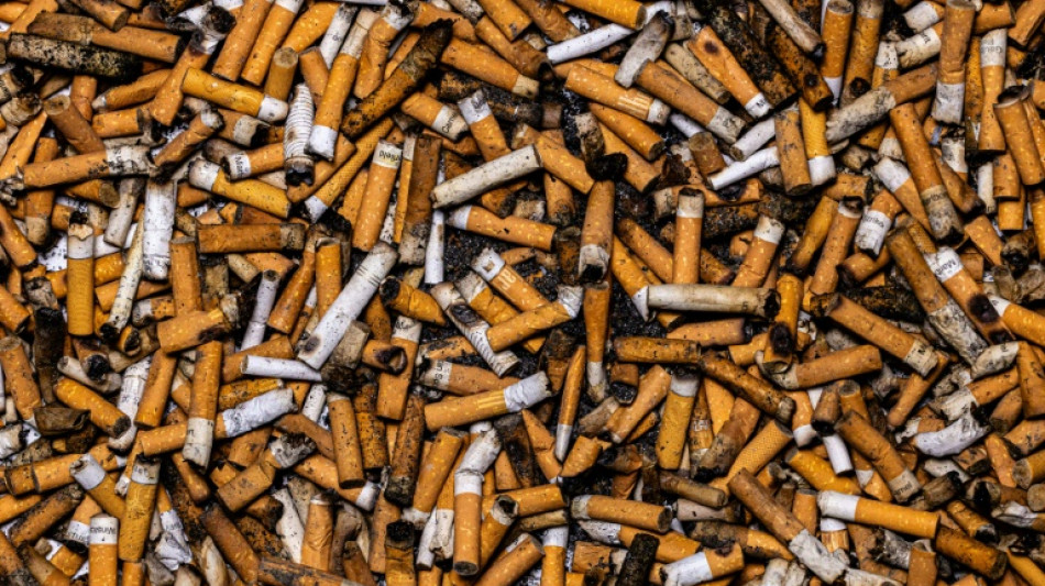 Bande soll in gro&szlig;em Stil unversteuerte Zigaretten hergestellt haben
