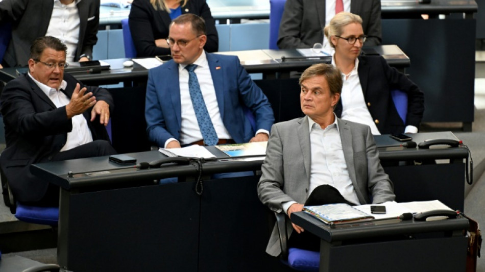 AfD-Fraktion will am Nachmittag Abstimmungsverhalten zu Unionsantr&auml;gen festlegen