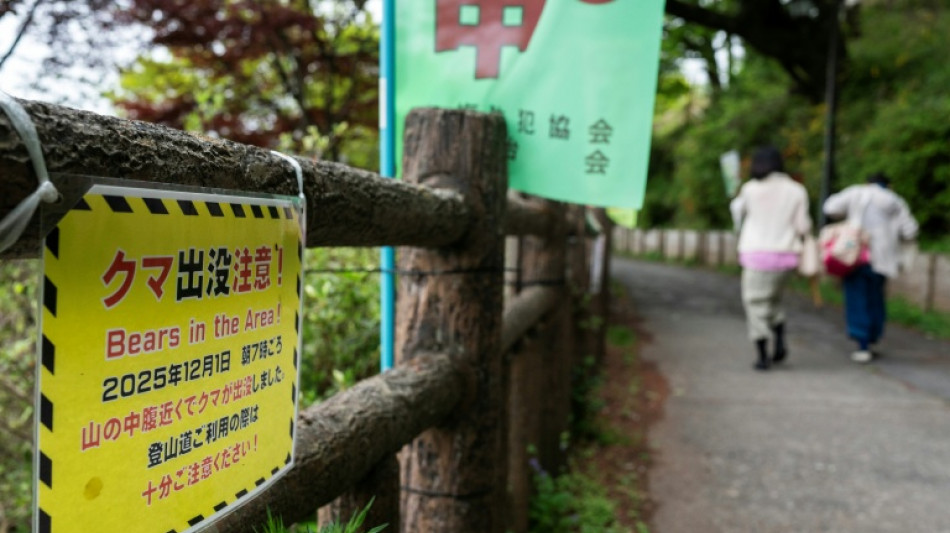 Japon: plus de 14.000 ours abattus sur la derni&egrave;re ann&eacute;e