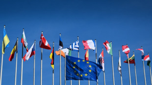 Les Pays-Bas donnent le coup d'envoi des &eacute;lections europ&eacute;ennes