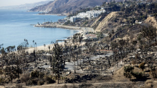 Le suspect d'un des incendies de Los Angeles en voulait aux riches, selon l'accusation