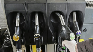 Benzin und Diesel in Deutschlands Nachbarstaaten meist g&uuml;nstiger 