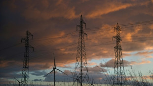 Electricit&eacute;: le gouvernement renonce &agrave; appliquer une hausse pr&eacute;vue au 1er ao&ucirc;t