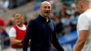 Borthwick laments England tackling after Fiji defeat