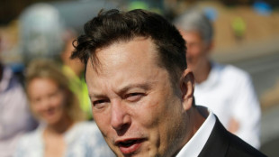 US-Medien: Elon Musk hat Twitter &uuml;bernommen und Spitzenkr&auml;fte gefeuert