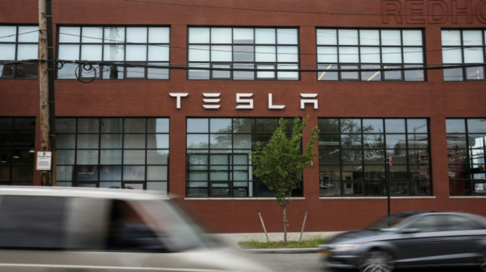 Musk gewinnt Berufung zu milliardenschwerem Gehaltspaket bei Tesla