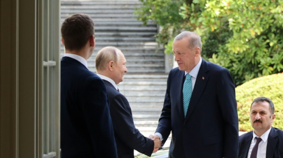 Erdogan k&uuml;ndigt "sehr wichtige" Botschaft zum Getreideabkommen an