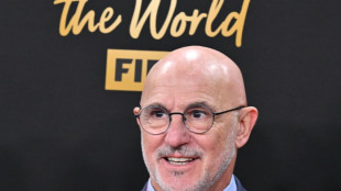 'A &uacute;nica coisa em que devemos pensar &eacute; no que podemos controlar', diz De la Fuente ap&oacute;s sorteio da Copa