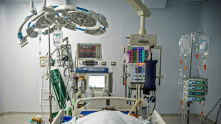 Erneuter Anstieg 2025 der Anerkennungen ausl&auml;ndischer Berufsabschl&uuml;sse