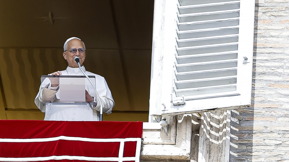 Il Papa, 'Gaza martoriata, non c'è futuro basato su vendetta'