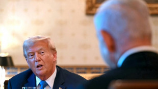 Trump und Netanjahu erneut zu Gespräch im Weißen Haus zusammengekommen