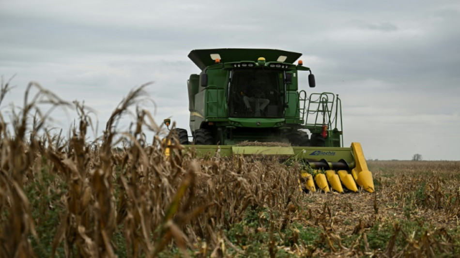 Argentina enfrenta p&eacute;rdidas millonarias en el campo por su peor sequ&iacute;a