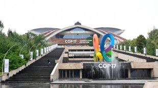 A la COP17, les &Eacute;tats somm&eacute;s de rectifier le tir sur leurs engagement pour la nature