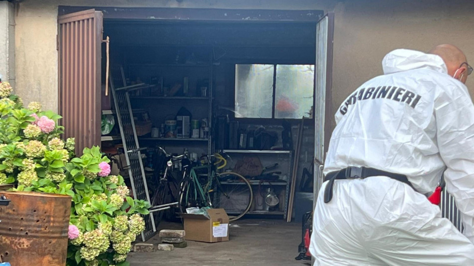 ++ Ucciso e fatto a pezzi: mamma, 'l'ho sezionato io da sola' ++