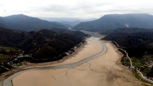 Bosnia hits hottest year on record in 2024: meteorologists