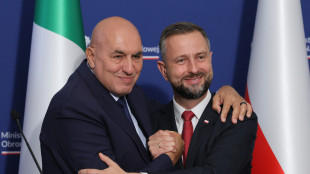 Crosetto, '&egrave; probabile che il drone abbattuto fosse russo'