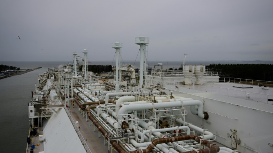Gr&uuml;nen-Abgeordnete: Kanzler soll bei LNG-Terminal vor R&uuml;gen f&uuml;r Klarheit sorgen
