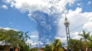 Un volc&aacute;n en Indonesia expele una enorme columna de ceniza