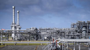 Le scorte di gas italiane sfiorano l'80%, l'Ue supera il 61%