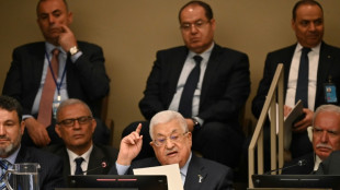 Presidente palestino pide "suspender" a Israel de la ONU en 75 aniversario de &eacute;xodo masivo