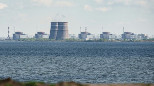 L'Ukraine rebranche la centrale de Zaporijjia, Zelensky r&eacute;clame la venue de l'AIEA
