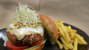 Verbrauchersch&uuml;tzer gegen m&ouml;gliches EU-Namensverbot f&uuml;r Veggie-Burger