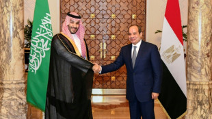 &Auml;gypten und Saudi-Arabien fordern freie Schifffahrt durch Meerenge Bab al-Mandab