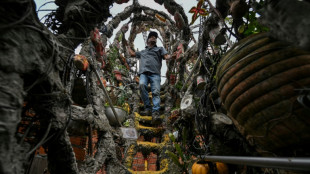 Un castillo en la favela, la obra inacabada del "Gaud&iacute; brasile&ntilde;o"