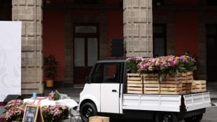 Messico lancia i nuovi veicoli elettrici Olinia per trasporto merci