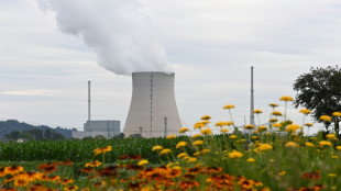 FDP fordert schnelle Bestellung neuer Atombrennst&auml;be